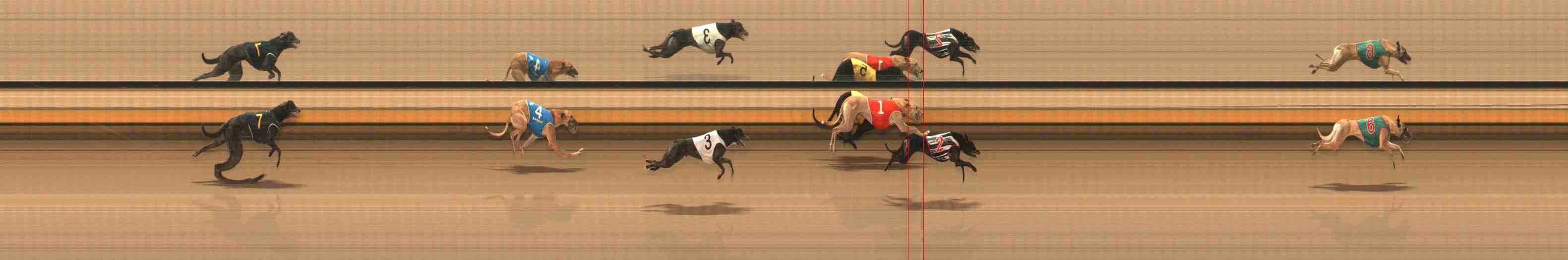 Photo finish for Warrnambool Race 7