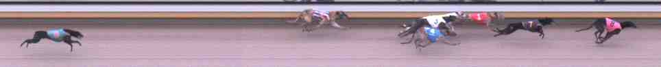 Photo finish for Warrnambool Race 13