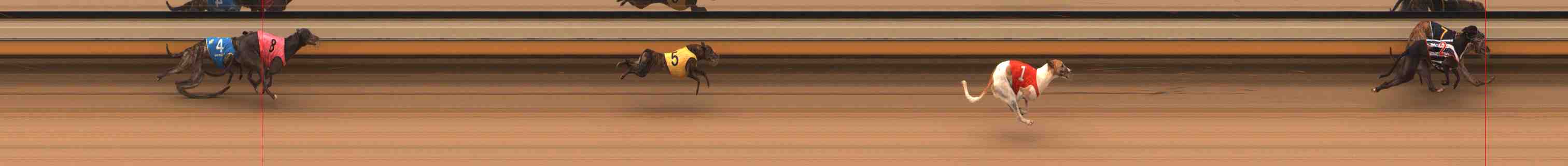 Photo finish for Warrnambool Race 2