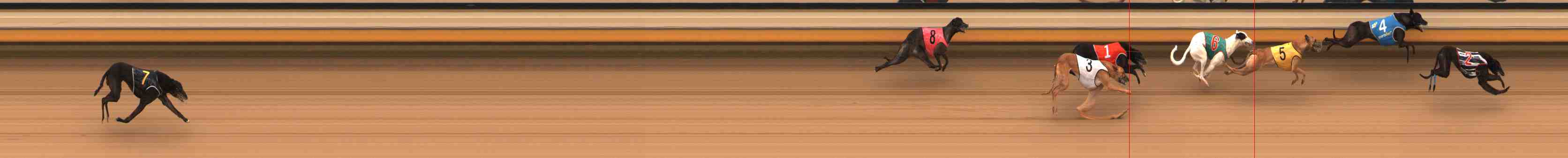 Photo finish for Warrnambool Race 3