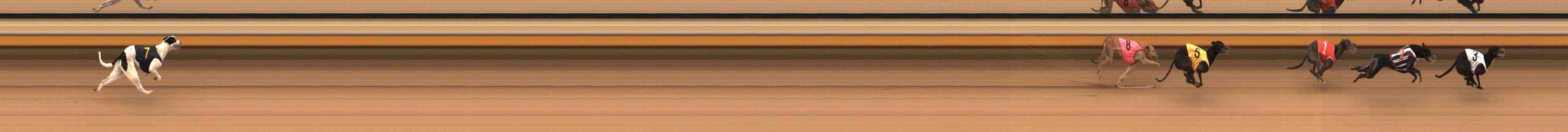 Photo finish for Warrnambool Race 4