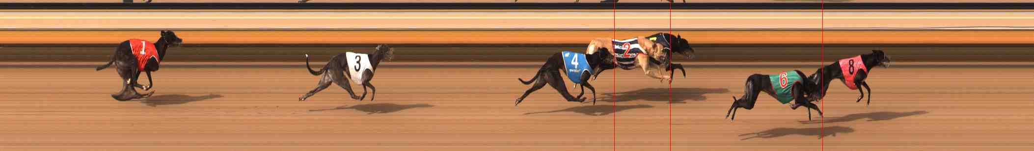 Photo finish for Warrnambool Race 6