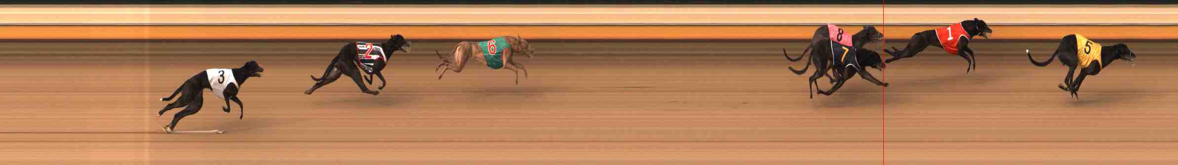 Photo finish for Warrnambool Race 7