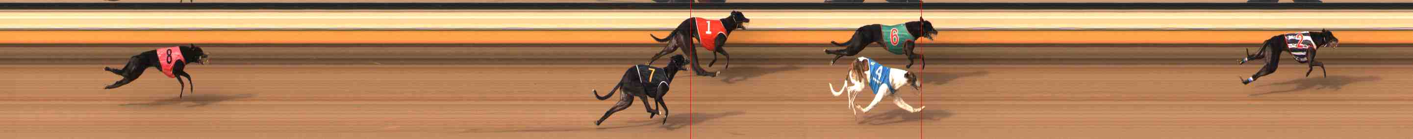 Photo finish for Warrnambool Race 8
