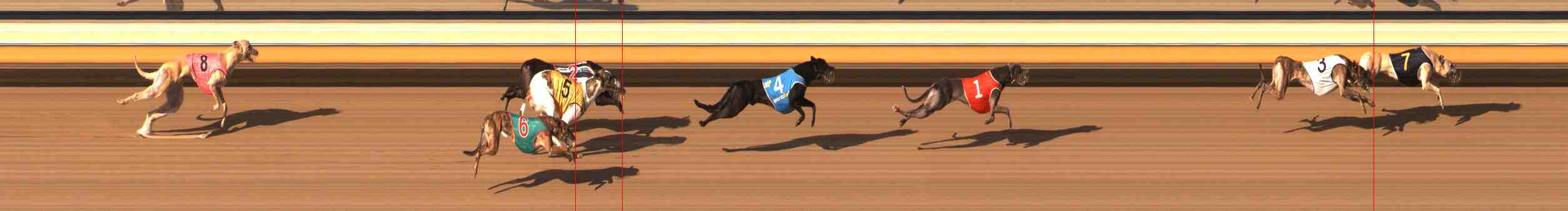 Photo finish for Warrnambool Race 9