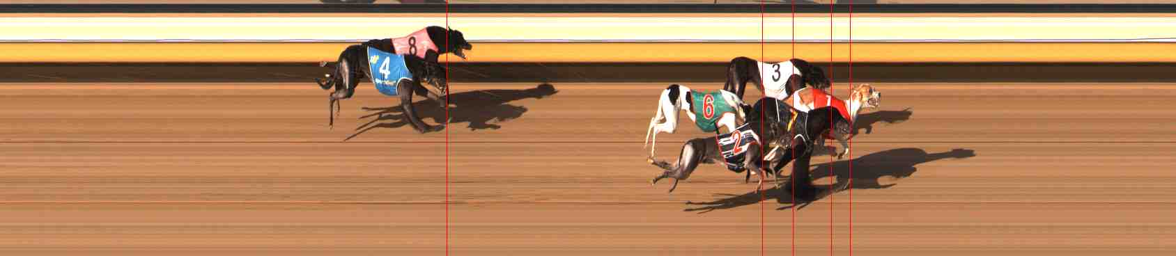 Photo finish for Warrnambool Race 10