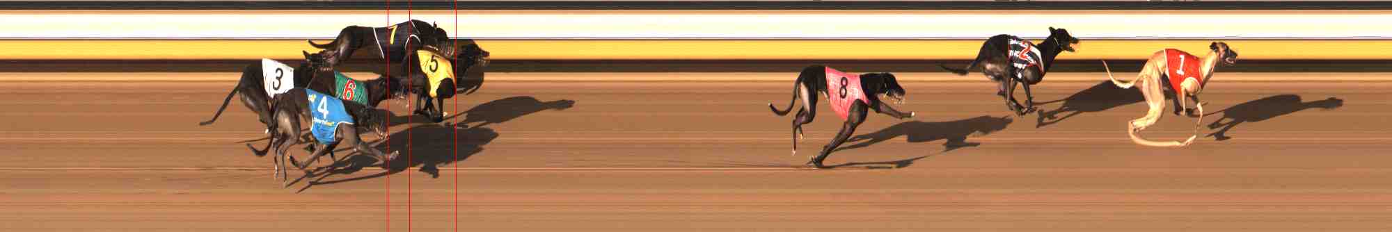 Photo finish for Warrnambool Race 11