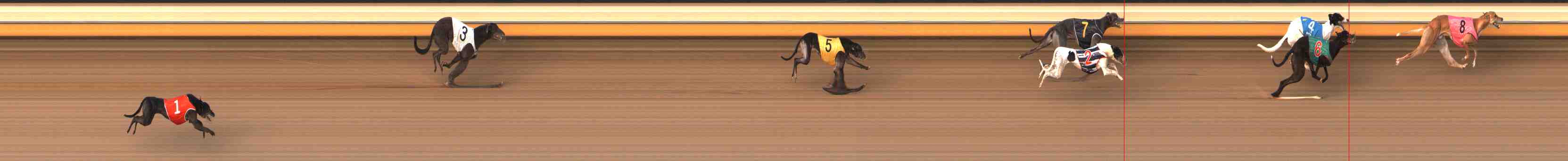 Photo finish for Warrnambool Race 12