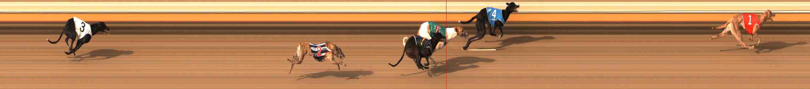 Photo finish for Warrnambool Race 2