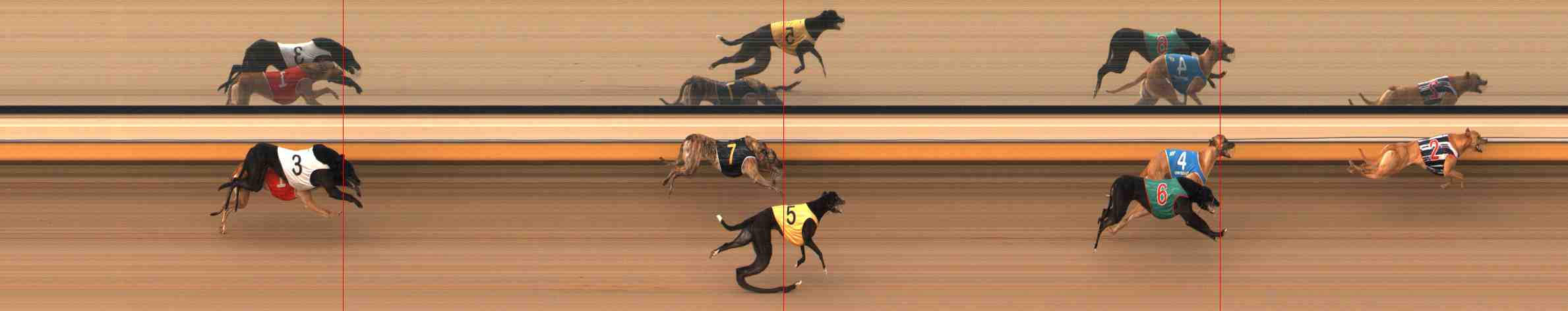 Photo finish for Warrnambool Race 3