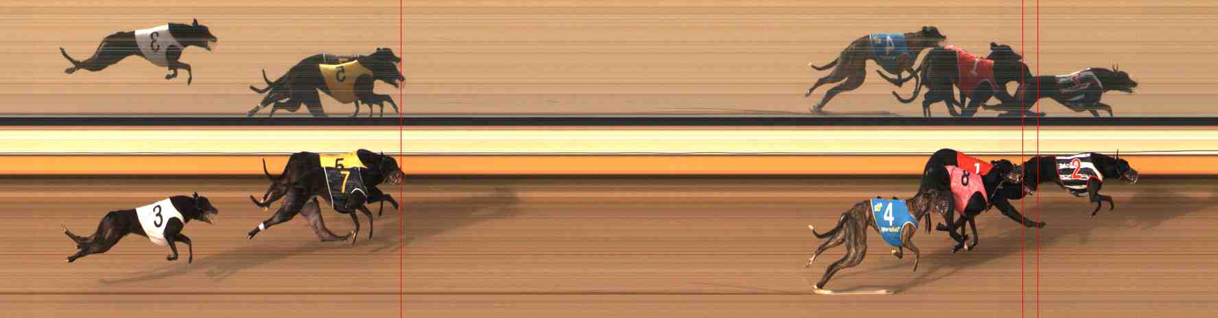 Photo finish for Warrnambool Race 5