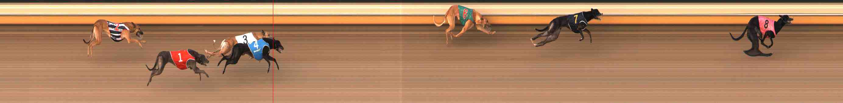 Photo finish for Warrnambool Race 6