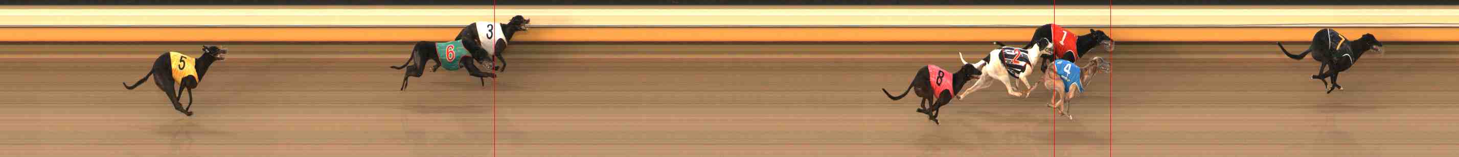 Photo finish for Warrnambool Race 7