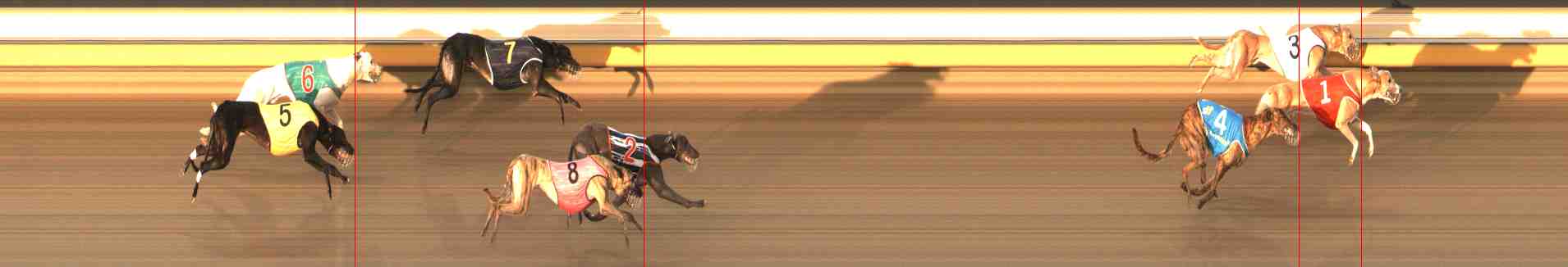Photo finish for Warrnambool Race 8