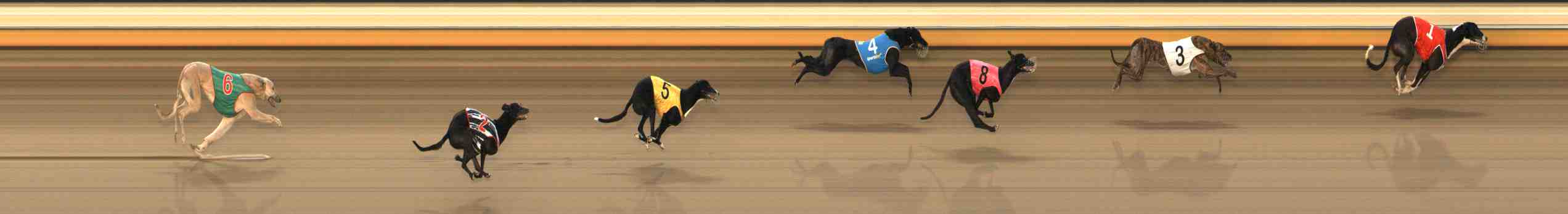 Photo finish for Warrnambool Race 9