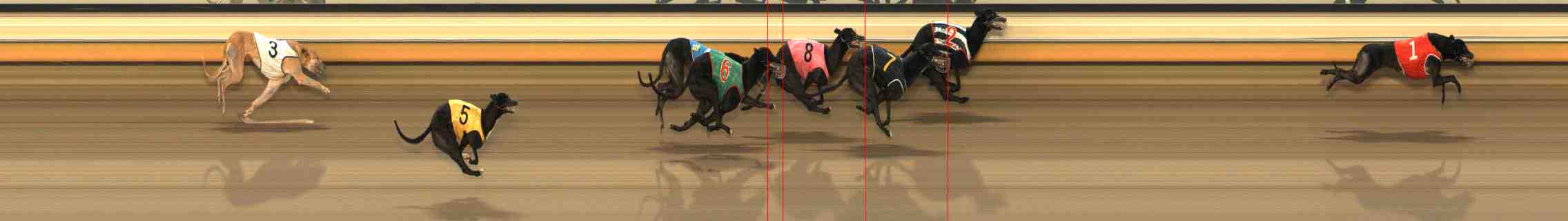 Photo finish for Warrnambool Race 10