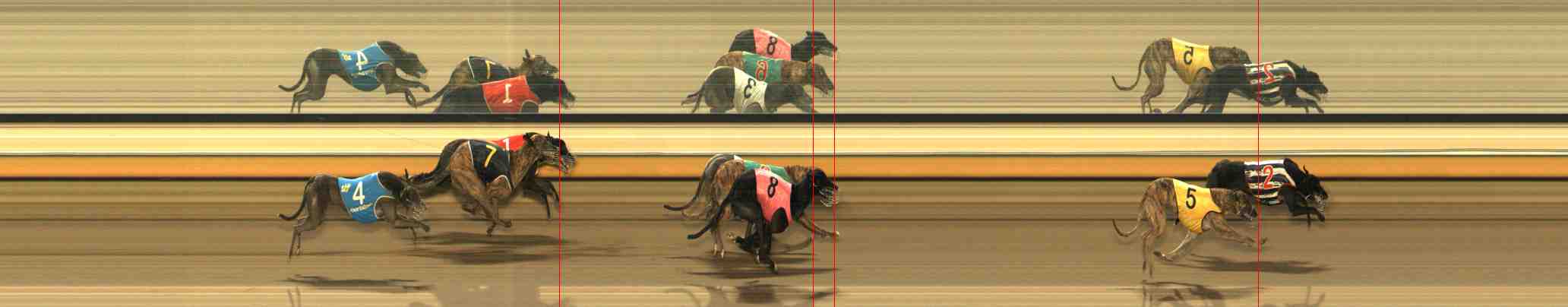Photo finish for Warrnambool Race 11