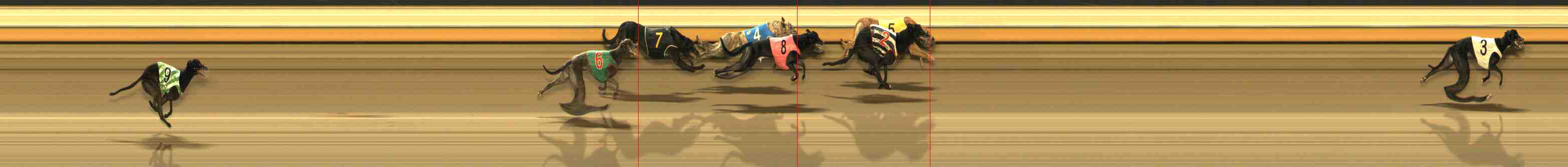 Photo finish for Warrnambool Race 12