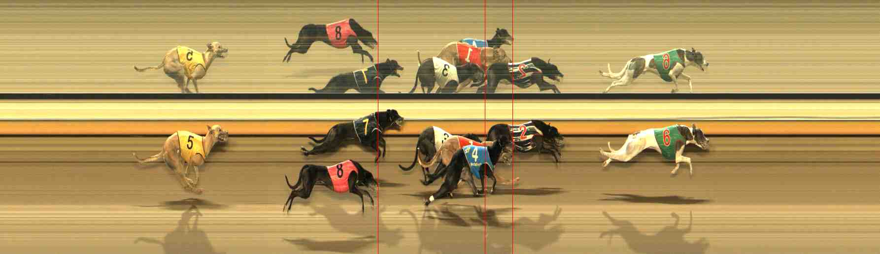 Photo finish for Warrnambool Race 13