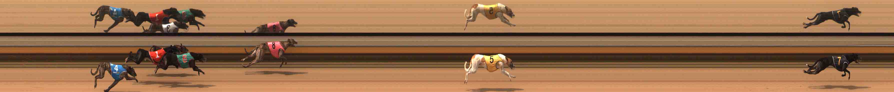 Photo finish for Warrnambool Race 2
