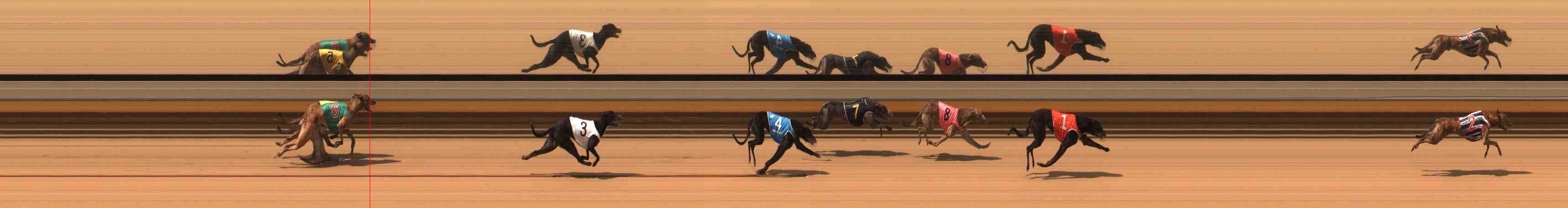 Photo finish for Warrnambool Race 3