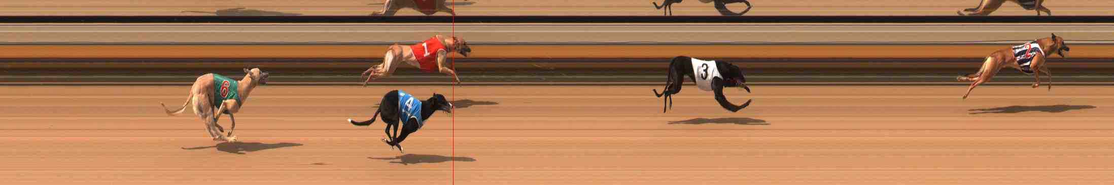 Photo finish for Warrnambool Race 4