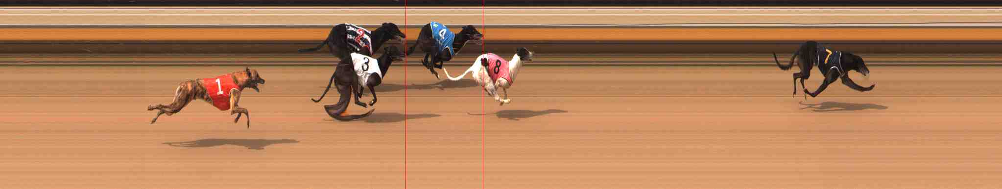 Photo finish for Warrnambool Race 5