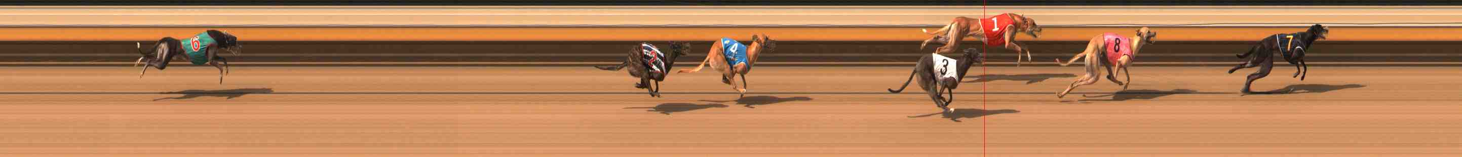 Photo finish for Warrnambool Race 6