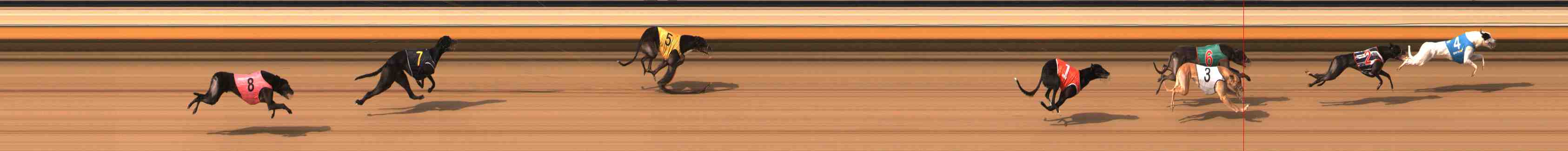 Photo finish for Warrnambool Race 7