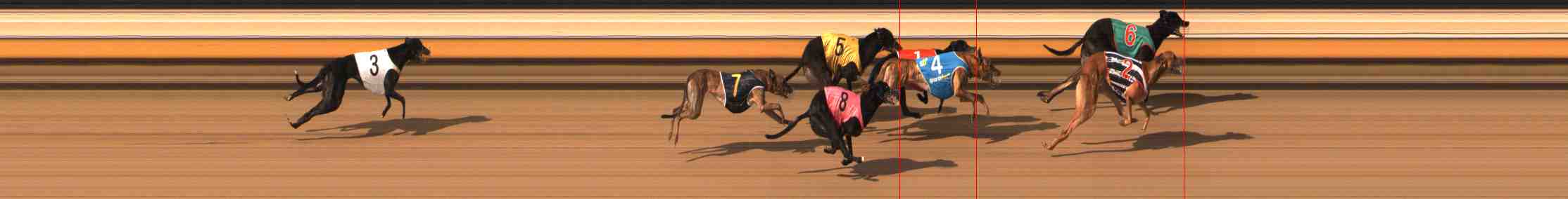 Photo finish for Warrnambool Race 8