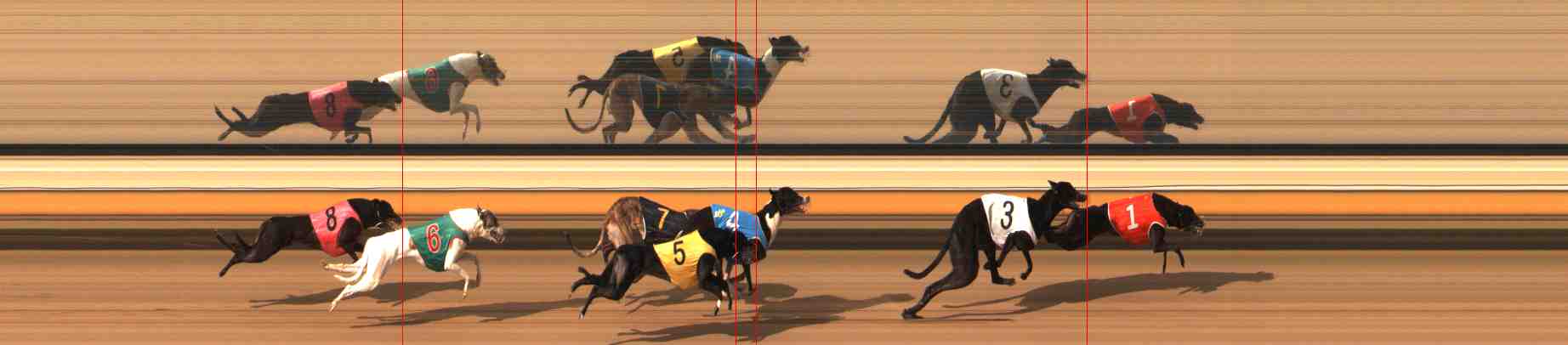 Photo finish for Warrnambool Race 9