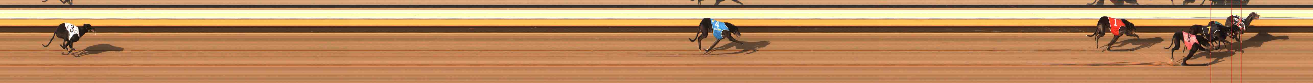 Photo finish for Warrnambool Race 11