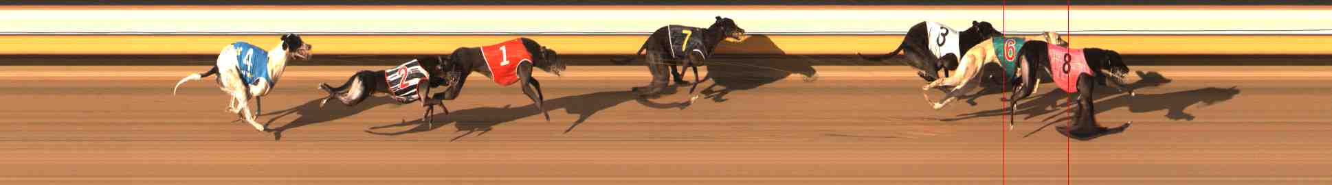 Photo finish for Warrnambool Race 12