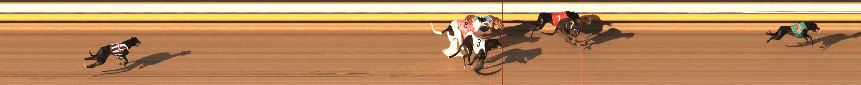 Photo finish for Warrnambool Race 13