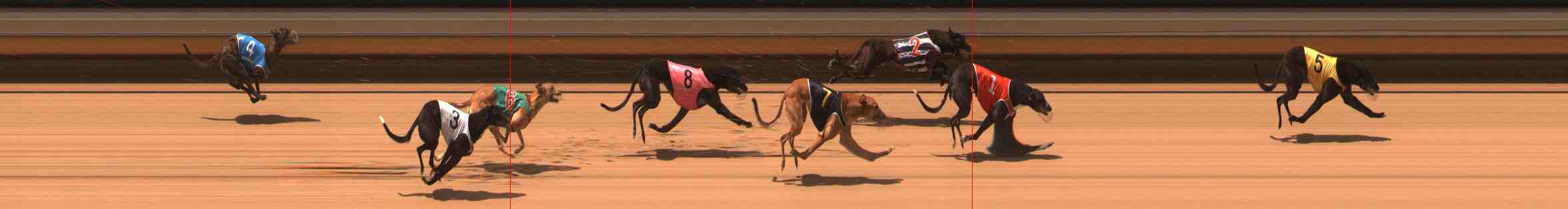 Photo finish for Warrnambool Race 2