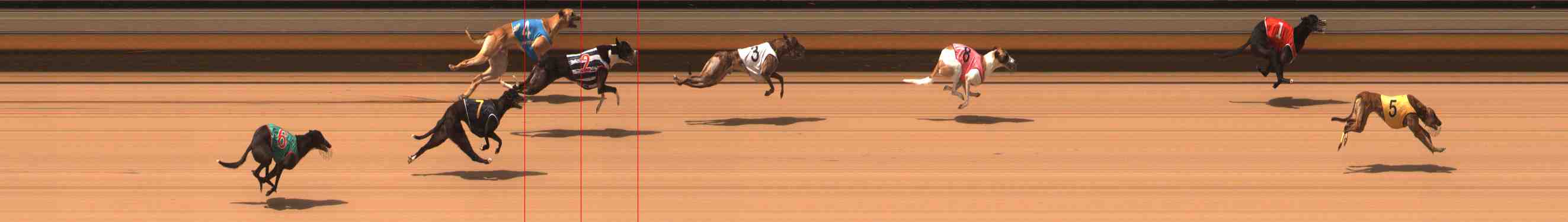 Photo finish for Warrnambool Race 3