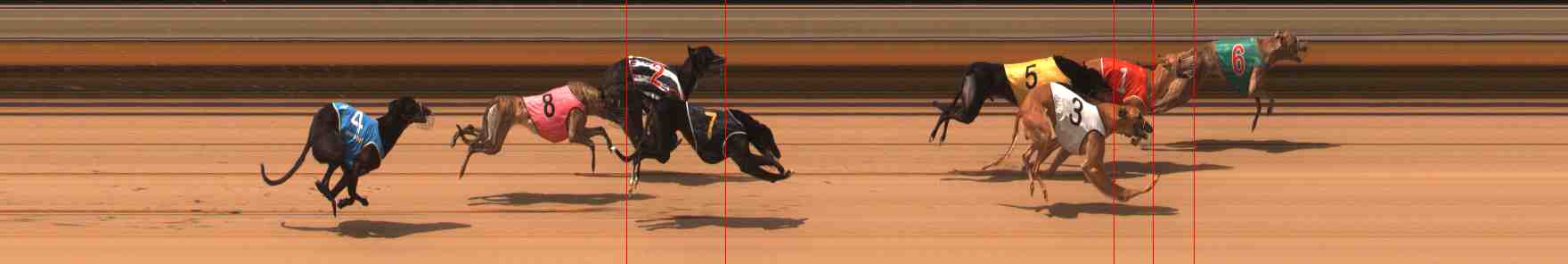 Photo finish for Warrnambool Race 4