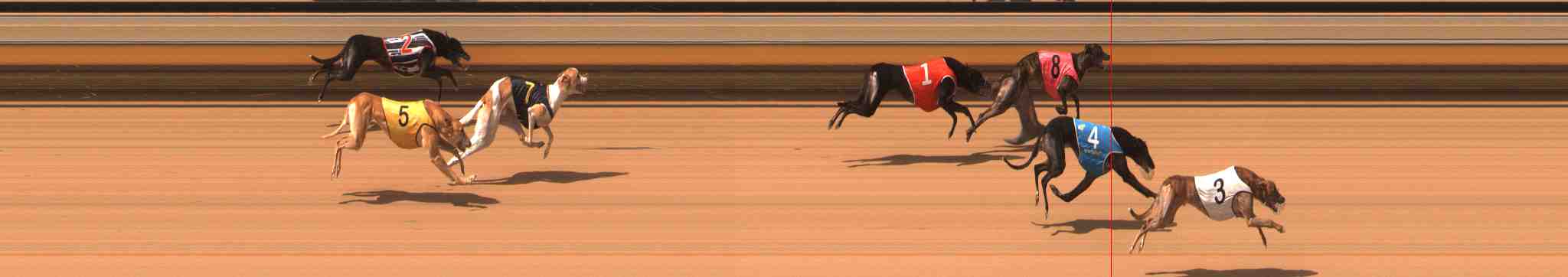 Photo finish for Warrnambool Race 5
