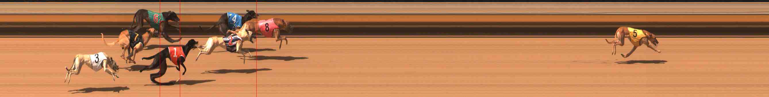 Photo finish for Warrnambool Race 6