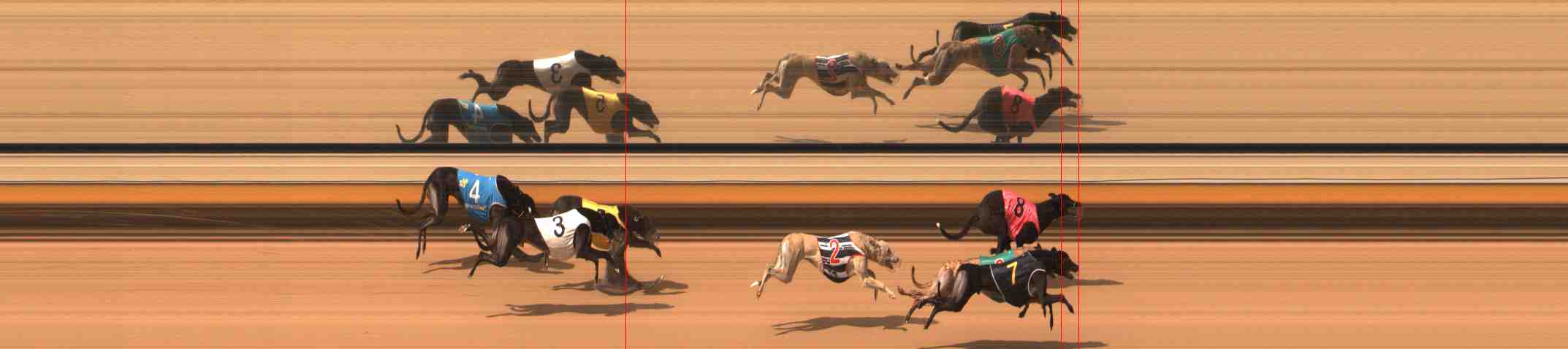 Photo finish for Warrnambool Race 7