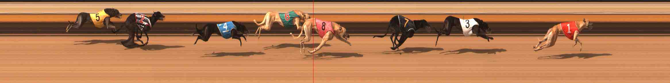 Photo finish for Warrnambool Race 8