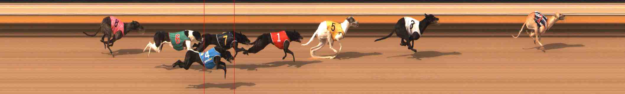 Photo finish for Warrnambool Race 9
