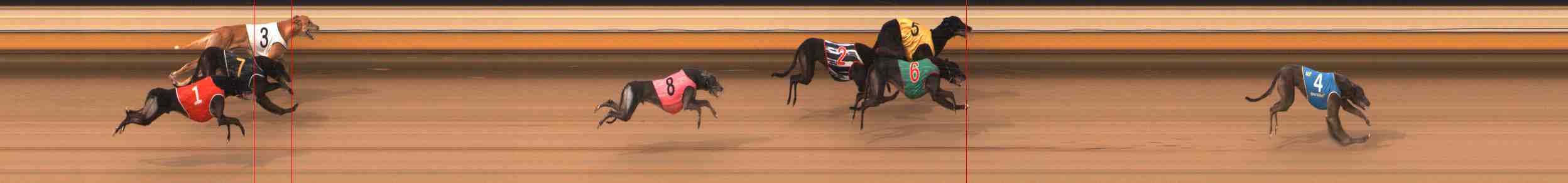 Photo finish for Warrnambool Race 10