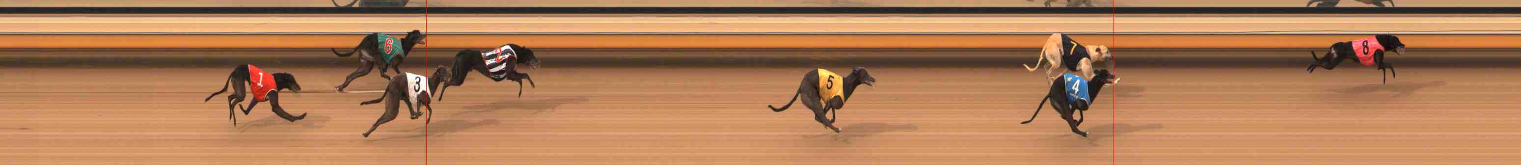 Photo finish for Warrnambool Race 11