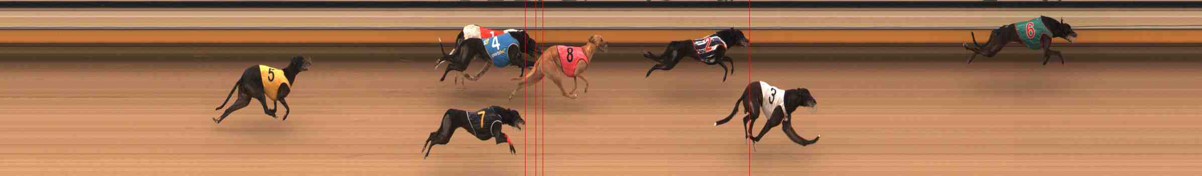Photo finish for Warrnambool Race 12