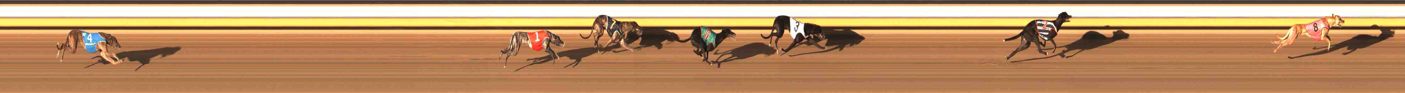 Photo finish for Warrnambool Race 2