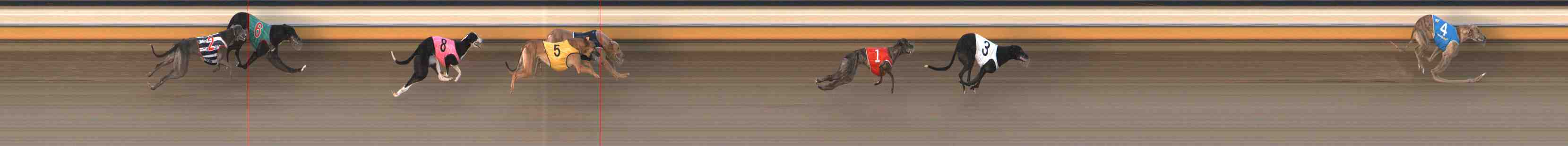 Photo finish for Warrnambool Race 5