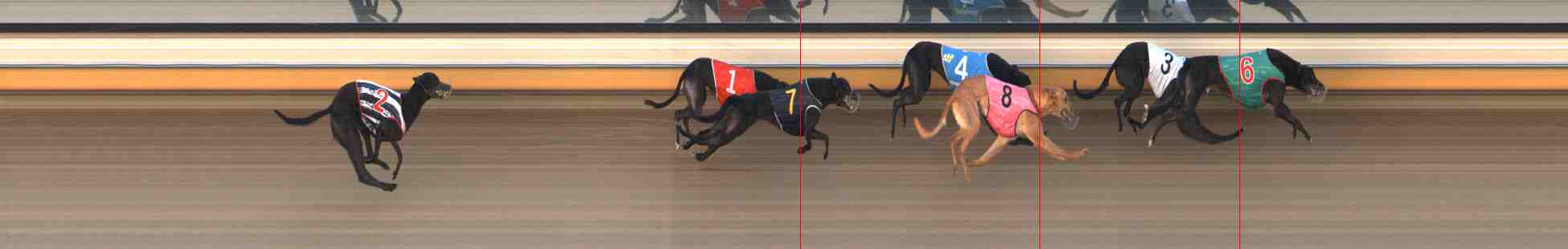 Photo finish for Warrnambool Race 6