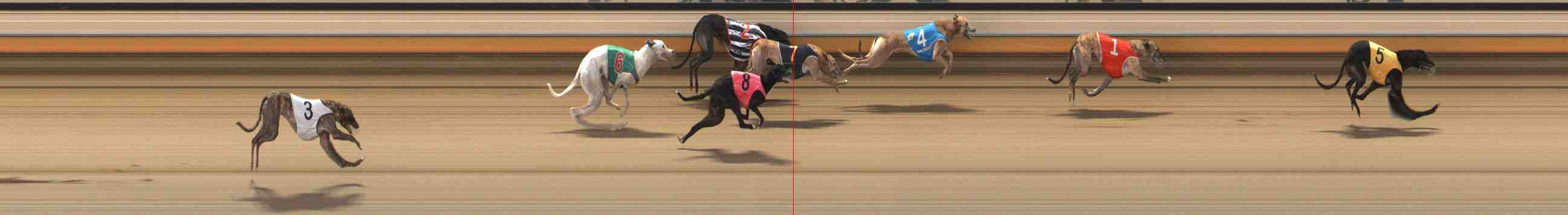 Photo finish for Warrnambool Race 7