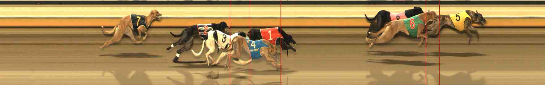 Photo finish for Warrnambool Race 8